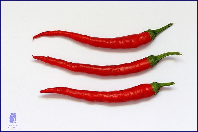 Jak Sušit Chilli Papričky? Zjistěte Zde! Jak Sušit Chilli Papričky? Zjistěte Zde!