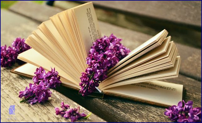 10 Inspirativních Svatebních Proslovů! 10 Inspirativních Svatebních Proslovů!