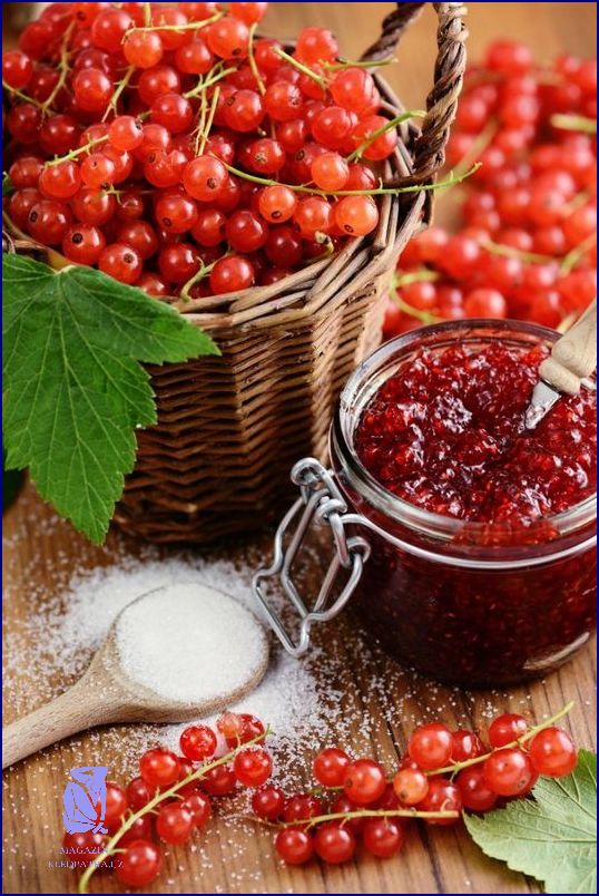Objevte Recept Na Marmeládu Z Červeného Rybízu!