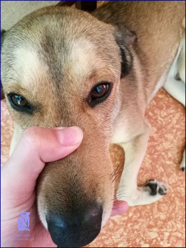 Vystrašila vás Tvrdá Bulka Pod Kůží?
