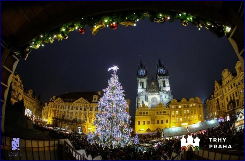 Víte, Co Znamená Motýli V Břiše? Víte, Co Znamená Motýli V Břiše?
