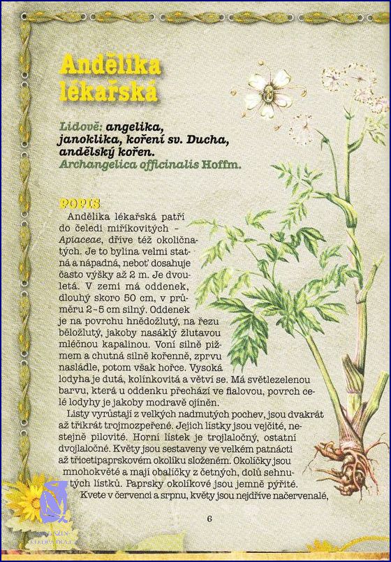 Jak Okamžitě Léčit Úzkost! Jak Okamžitě Léčit Úzkost!