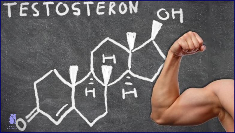Testosteron U Žen: Překvapivé Důsledky! Testosteron U Žen: Překvapivé Důsledky!