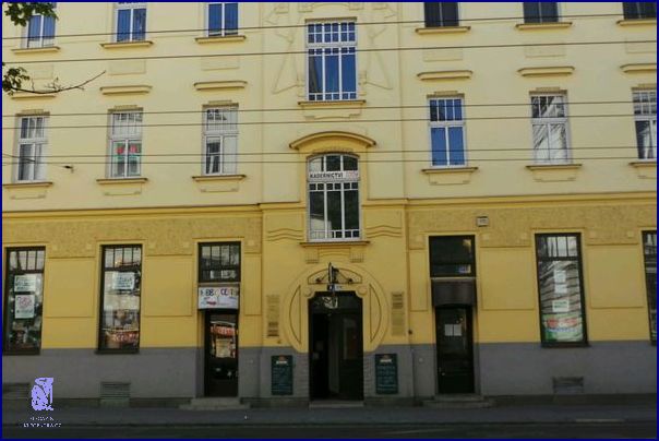 10 Úžasných Svatebních Účesů S Květinou!