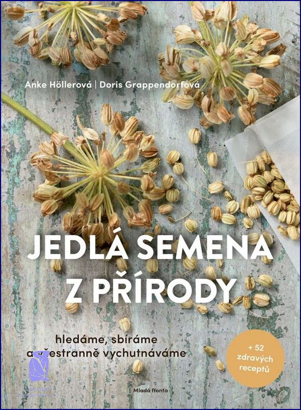 10 Zdravých Receptů Z Tvarohu!