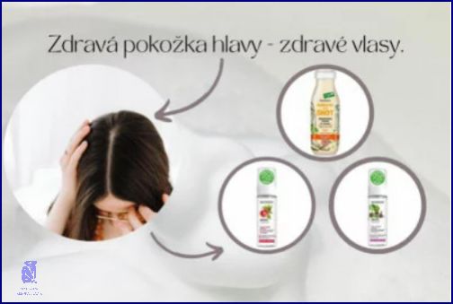 Jak Na Zdravé Vlasy? Zjistěte Zde! Jak Na Zdravé Vlasy? Zjistěte Zde!