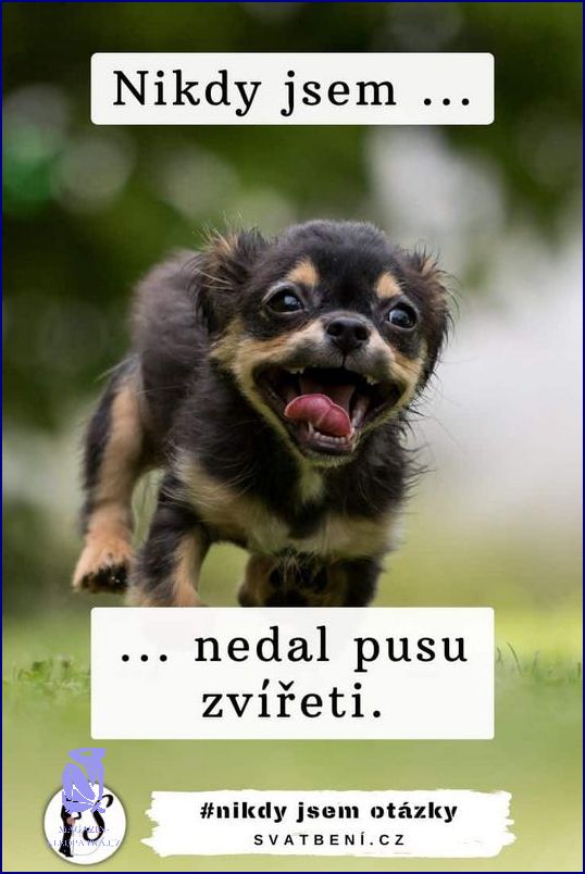 Nikdy Jsem Měl Otázky O Sexu! Nikdy Jsem Měl Otázky O Sexu!