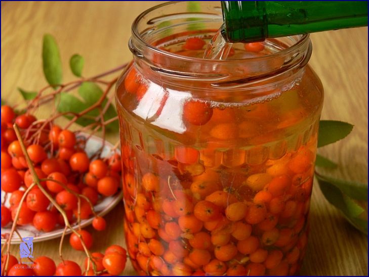 Recept na skvělý Kompot Z Dyne! Recept na skvělý Kompot Z Dyne!