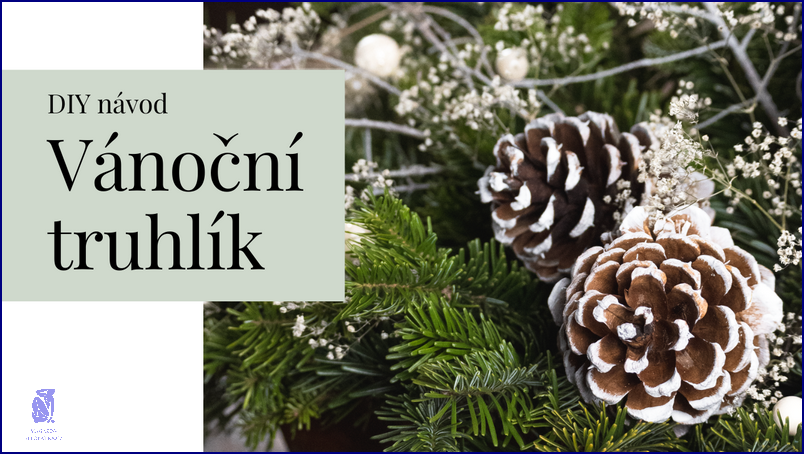 Vánoční Truhlíky Na Okna: Desítky Tipů! Vánoční Truhlíky Na Okna: Desítky Tipů!