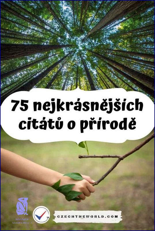 10 Nejlepších Citátů O Pomoci!