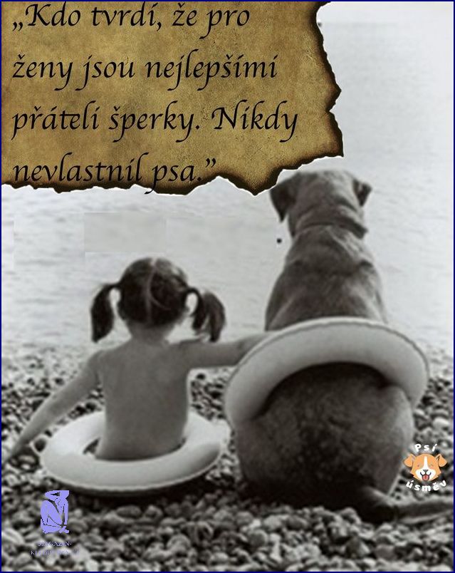 10 Nejlepších Citátů O Pomoci!