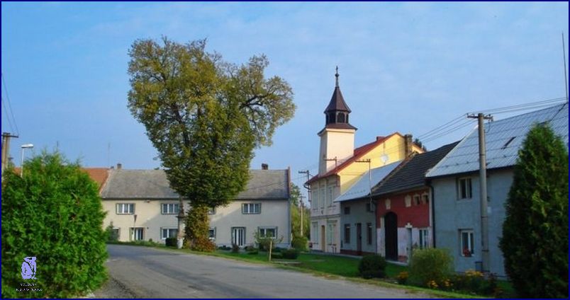 Banánová Bábovka Od Babičky: Chutná Neskutečně! Banánová Bábovka Od Babičky: Chutná Neskutečně!