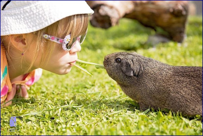 Nejlepší Zoo V ČR: Tady To Je!