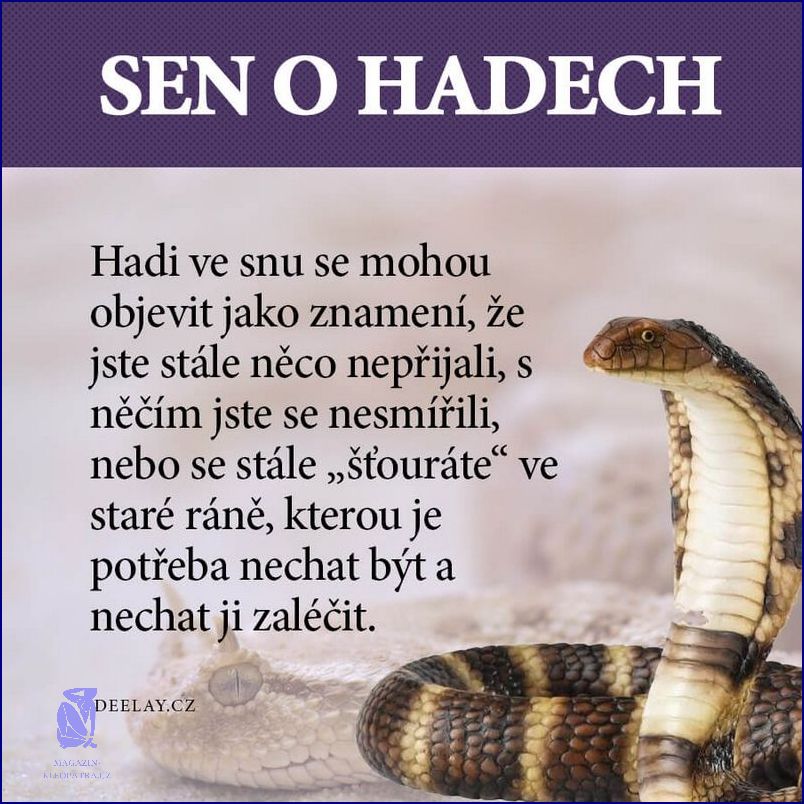 Sen O Hadech: Co nám Otevřelo Oči?!