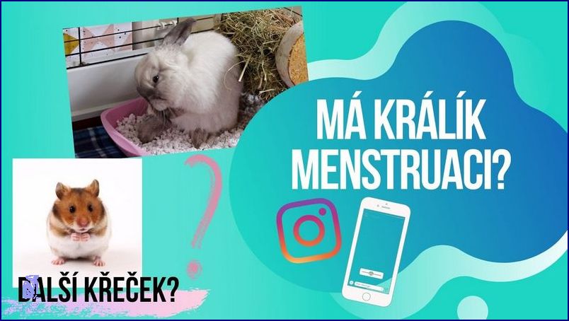 Užívejte si menstruace U Moře! Užívejte si menstruace U Moře!
