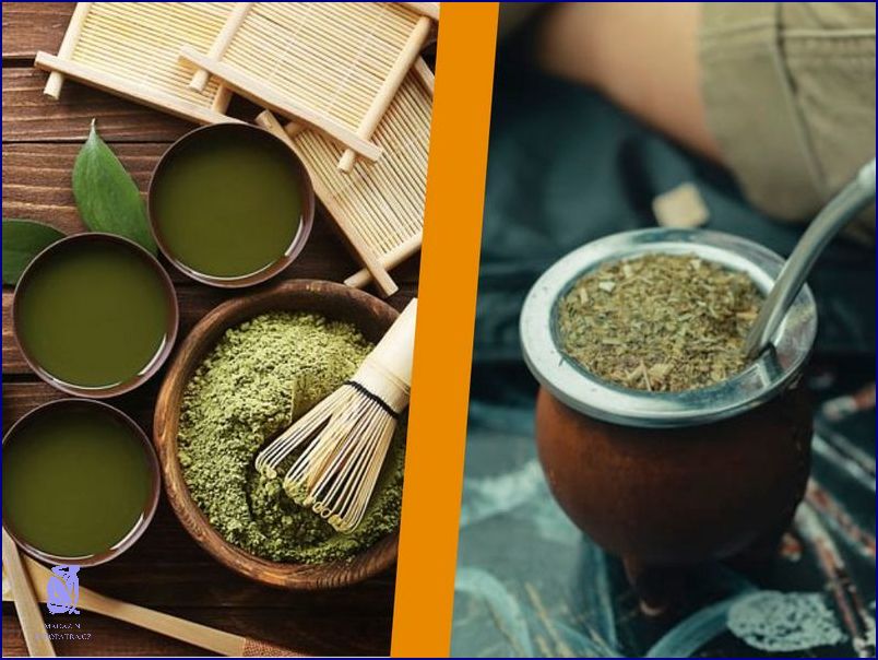 Yerba Maté: Negativní Účinky!