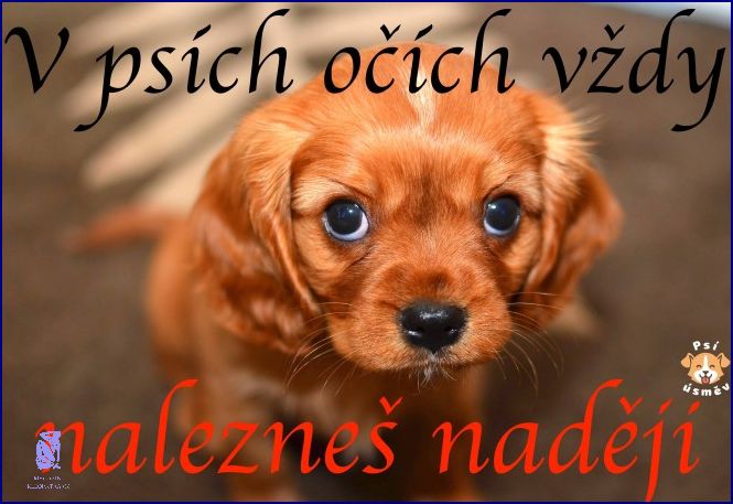 10 Nejlepších Citátů O Vztahu!