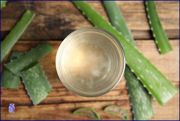 10 Věcí, Které Můžete Vyrobit Z Aloe Vera!
