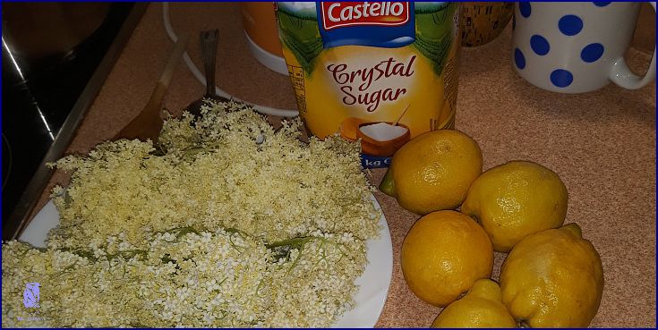 Chutná jako Limonáda Z Černého Bezu!