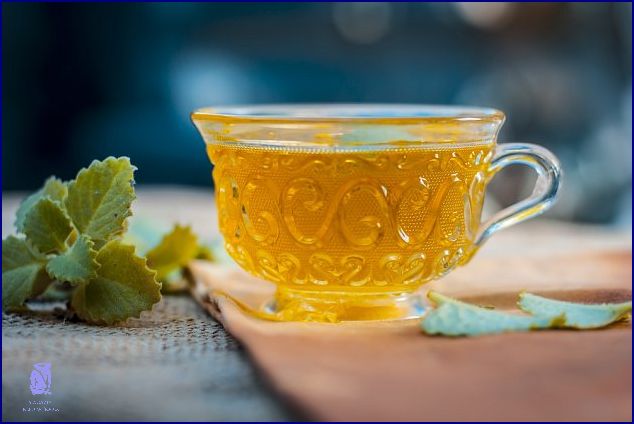 Chutná Vám Sirup Z Rýmovníku Za Studena? Chutná Vám Sirup Z Rýmovníku Za Studena?