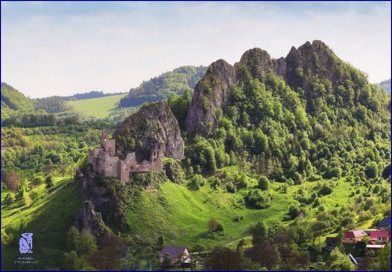 Co Muze Kralik Jist? Urcite to Nezjistite!