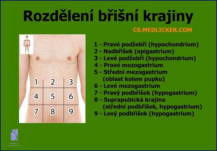 Co Na Bolest Bricha? Zjistěte ZDE!