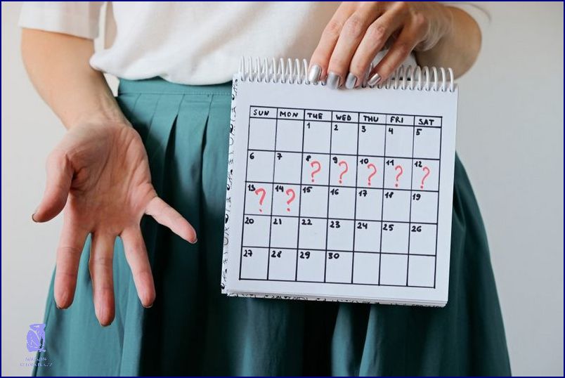 Fáze Menstruačního Cyklu: 5 Věcí, Které Musíte Vědět!