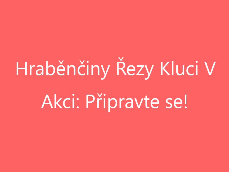 Hraběnčiny Řezy Kluci V Akci: Připravte se!