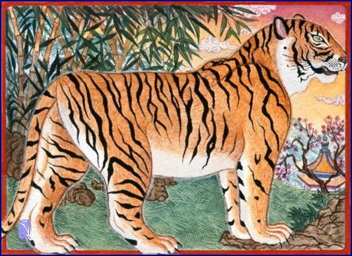 Čínský Horoskop Tygr: Co Vám Uniká?