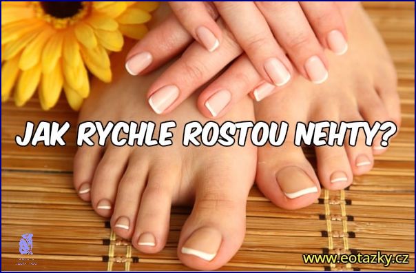 Jak Rychle Rostou Nehty? Tady je Odpověď!
