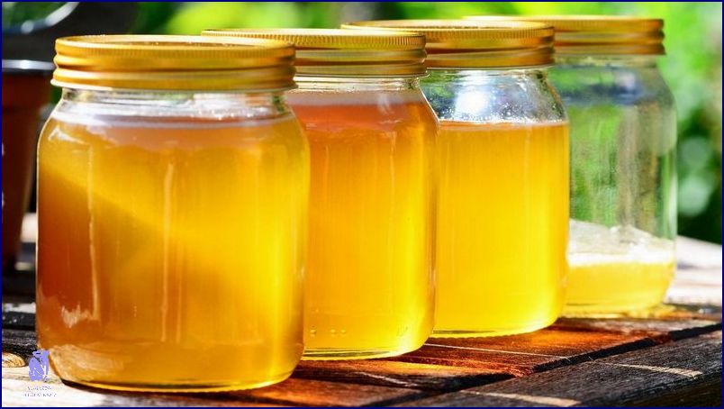 Jak Snadno Uvařit Pampeliškový Med: Návod Na Pampeliškový Med