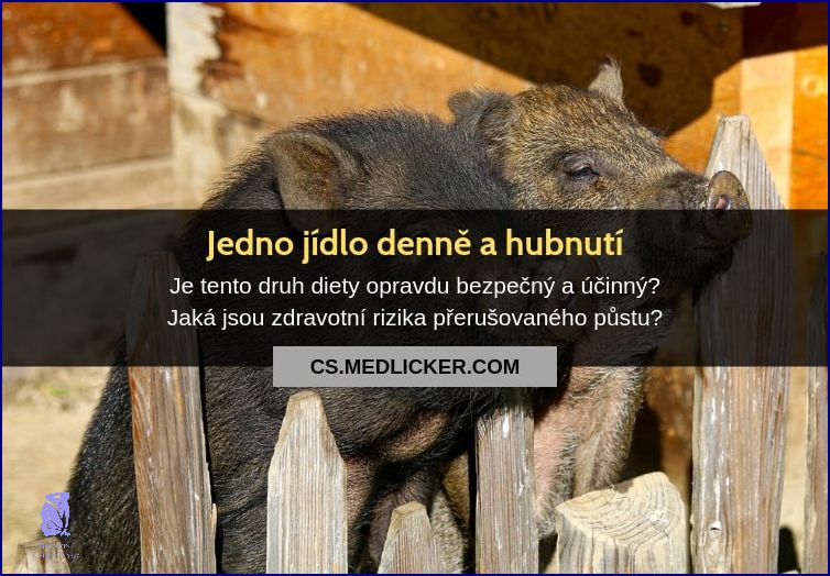 Jedno Jídlo Denně: Proč?