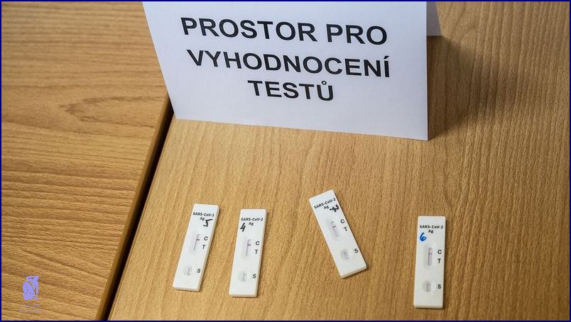Kdy Jít Na PCR Test? Víme Odpověď!