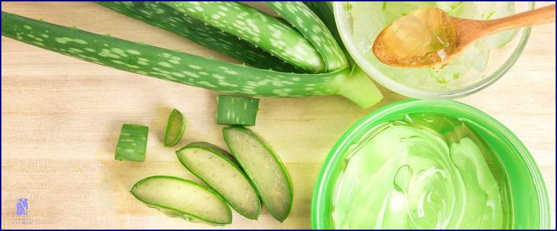 Nádherná Pleť: Aloe Vera Na Akne! Nádherná Pleť: Aloe Vera Na Akne!