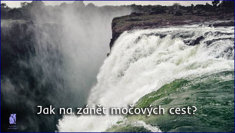 Nejlepší Lék Na Zánět Močových Cest: Překvapivý Výsledek!