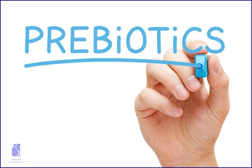 Nejlepší Probiotika A Prebiotika: Tady Je To!