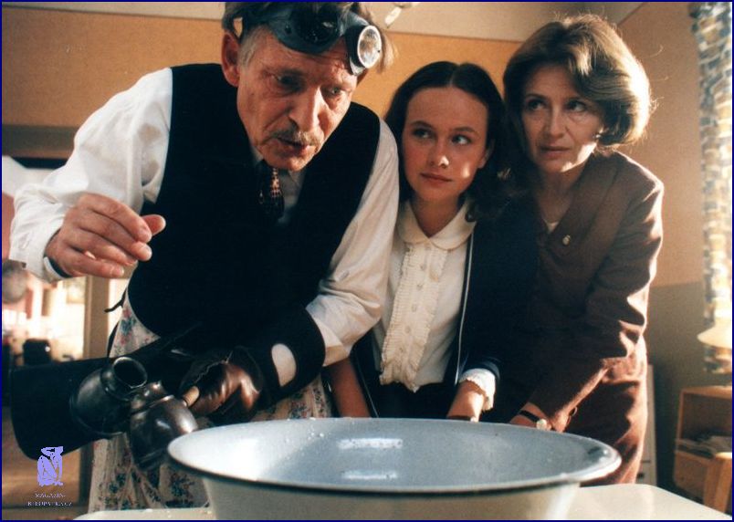 Nejlepsí Filmy Na Netflixu: Přehled TOP 10!