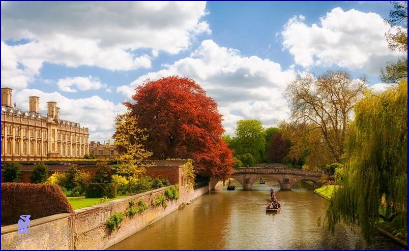 Nejlevnější Cambridge Diet Eshop!