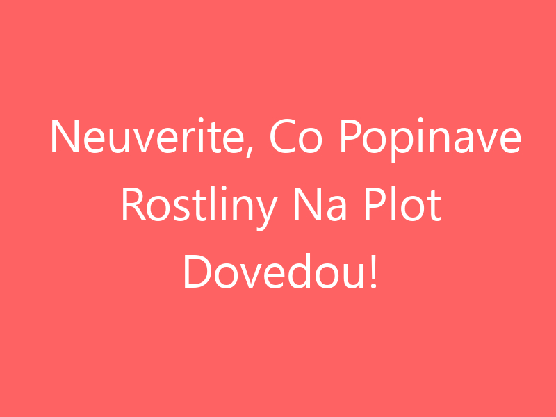 Neuverite, Co Popinave Rostliny Na Plot Dovedou!