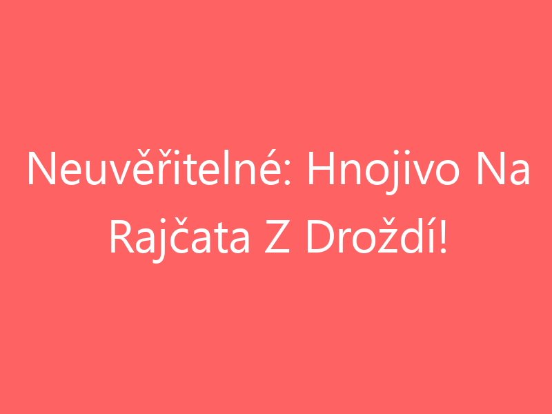 Neuvěřitelné: Hnojivo Na Rajčata Z Droždí!