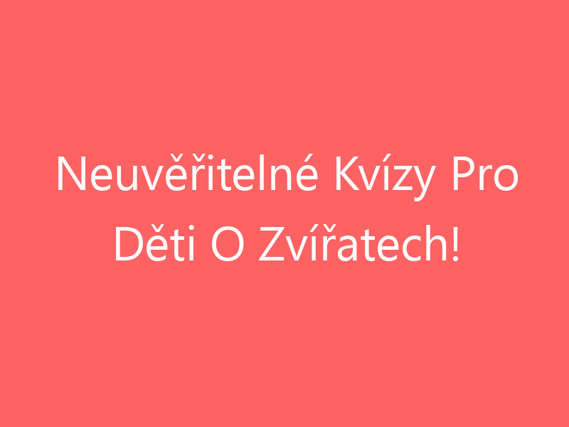 Neuvěřitelné Kvízy Pro Děti O Zvířatech!