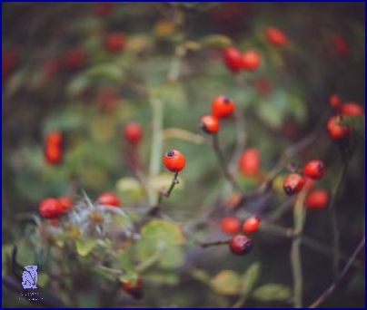 Neuvěřitelné! Prášky Na Zastavení Menstruace.