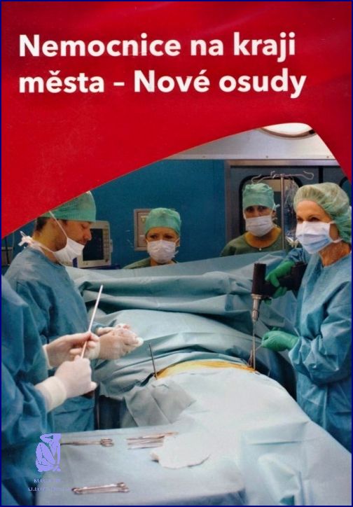 Online Nemocnice Na Kraji Mesta!