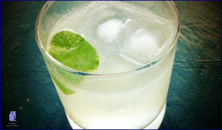 Recept Na Gin S Tonikem: Už Nemusíš Hledat!