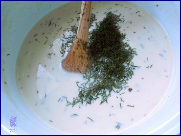 Recept na Koprovou Omáčku Bez Masa!