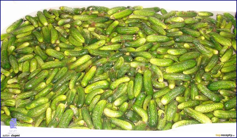 Recept: Příprava Laku na Okurky! Recept: Příprava Laku na Okurky!