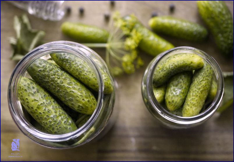 Recept: Příprava Laku na Okurky! Recept: Příprava Laku na Okurky!