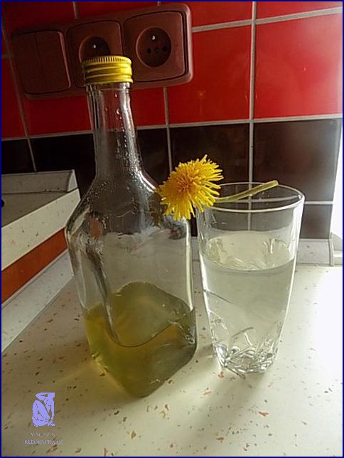 Stava Z Bezovych Kvetu: Neuveritelne!