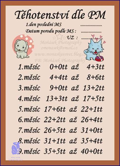 Týdny Těhotenství Promění se v Měsíce!