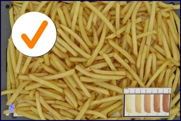 Už Víte, Jakou Barvu Mají Šaty?
